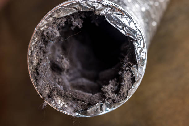 Best Ductwork Odor Removal in USA